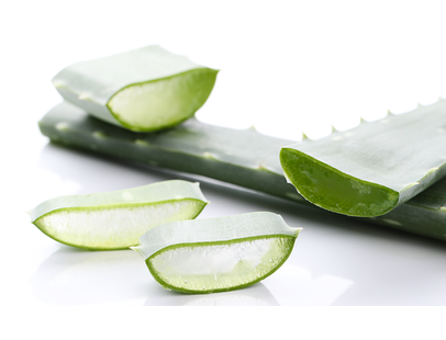 Aloe Vera a csodanövény